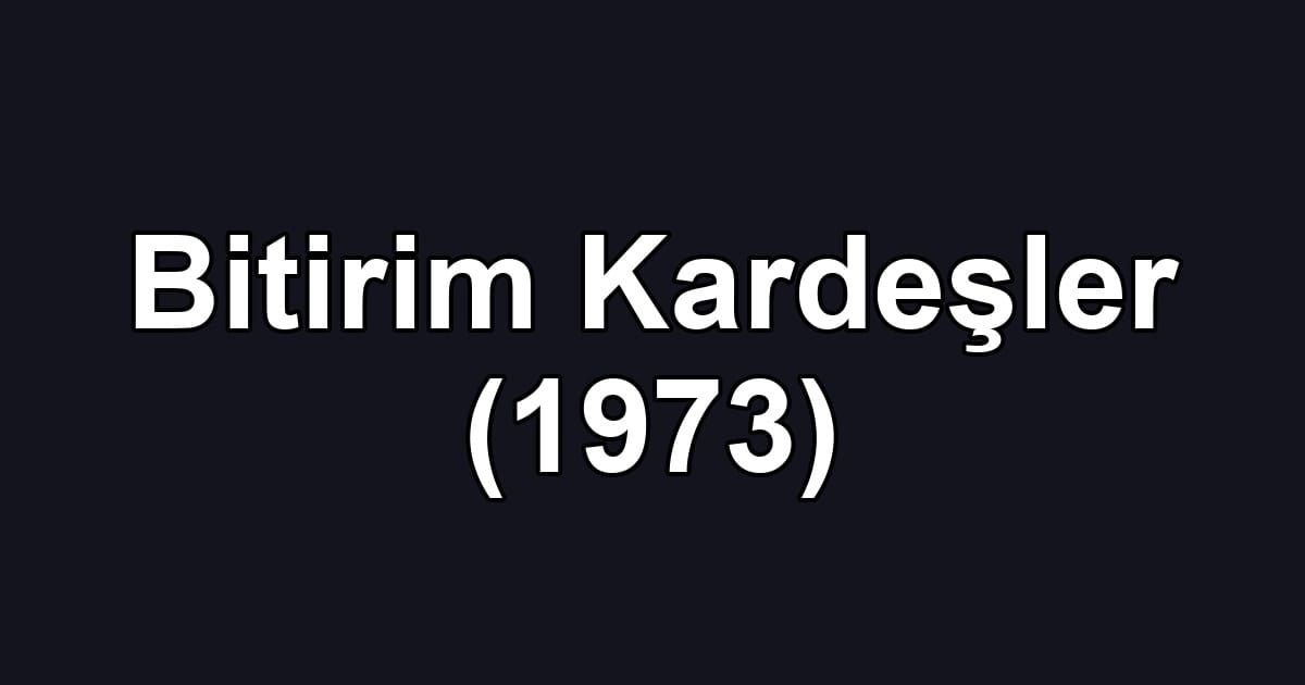 Bitirim Kardeşler (1973)