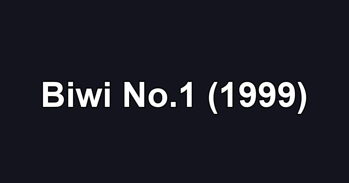 Biwi No.1 (1999)
