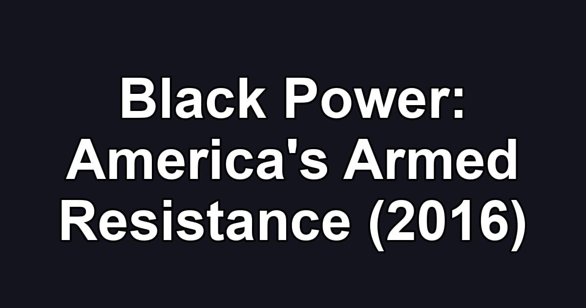 Black Power: America's Armed Resistance (2016)