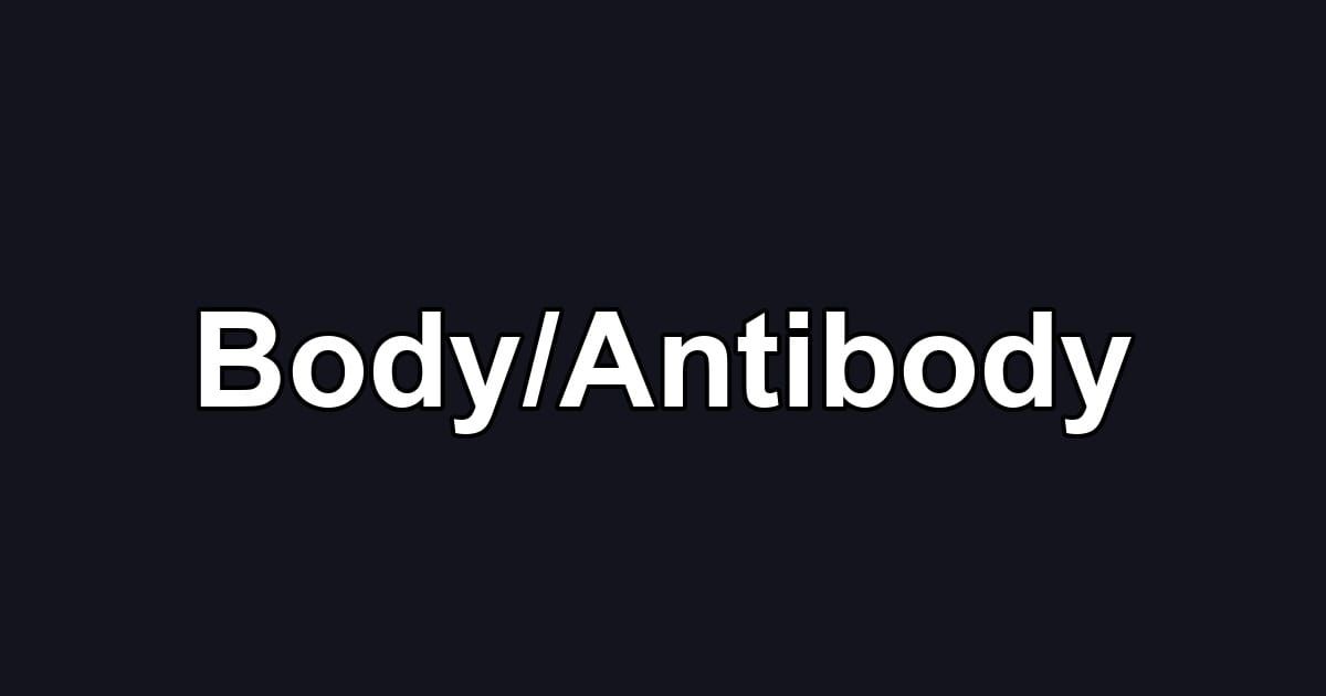 Body/Antibody