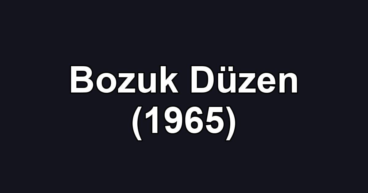Bozuk Düzen (1965)