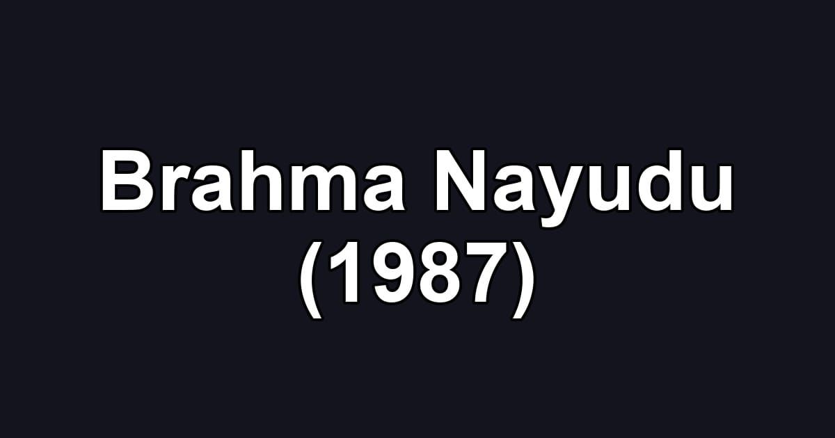 Brahma Nayudu (1987)