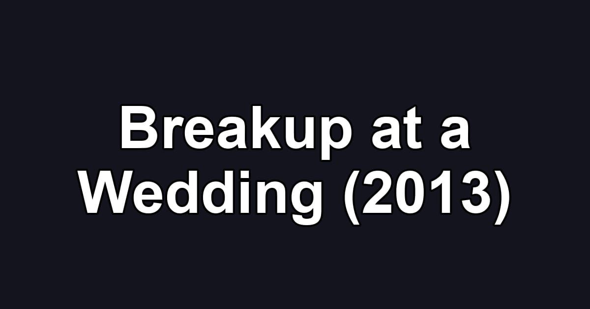 Breakup at a Wedding (2013)