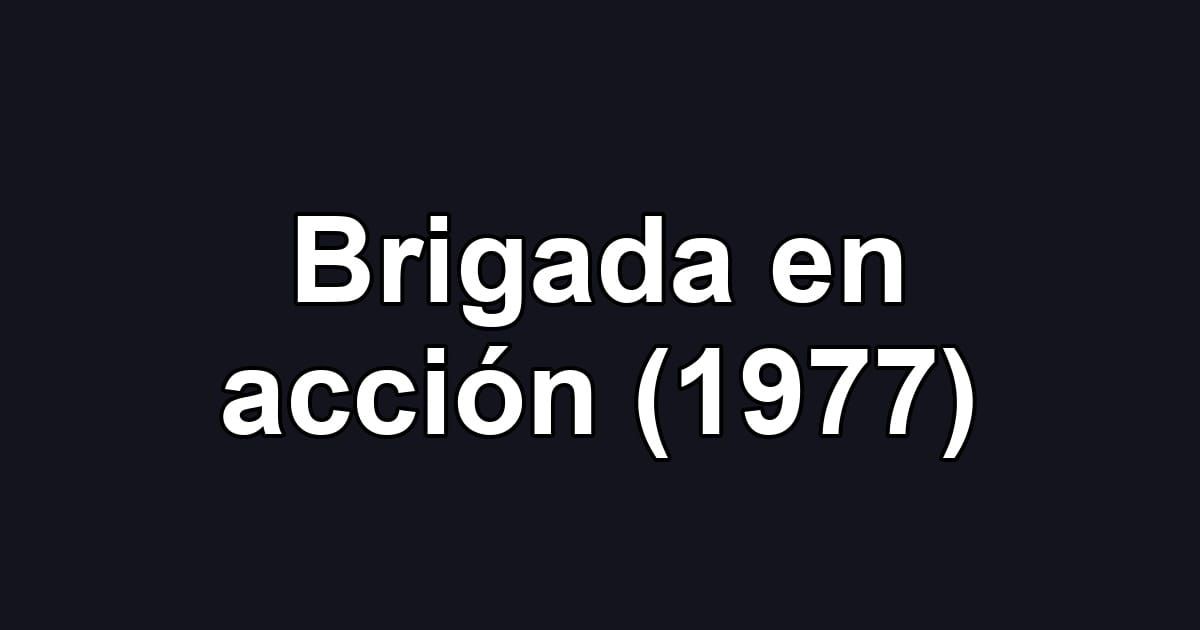 Brigada en acción (1977)