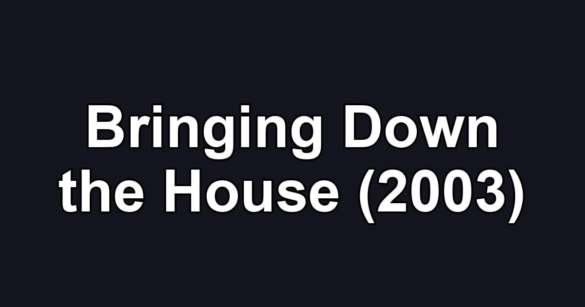 Bringing Down the House (2003)