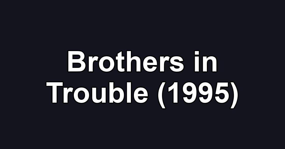 Brothers in Trouble (1995)