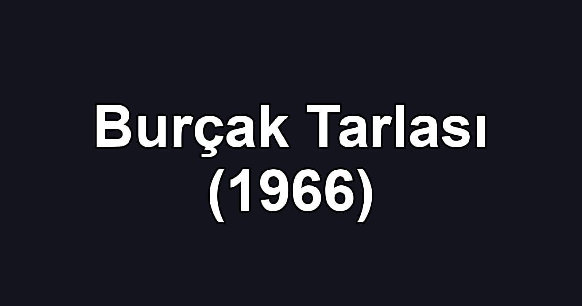 Burçak Tarlası (1966)