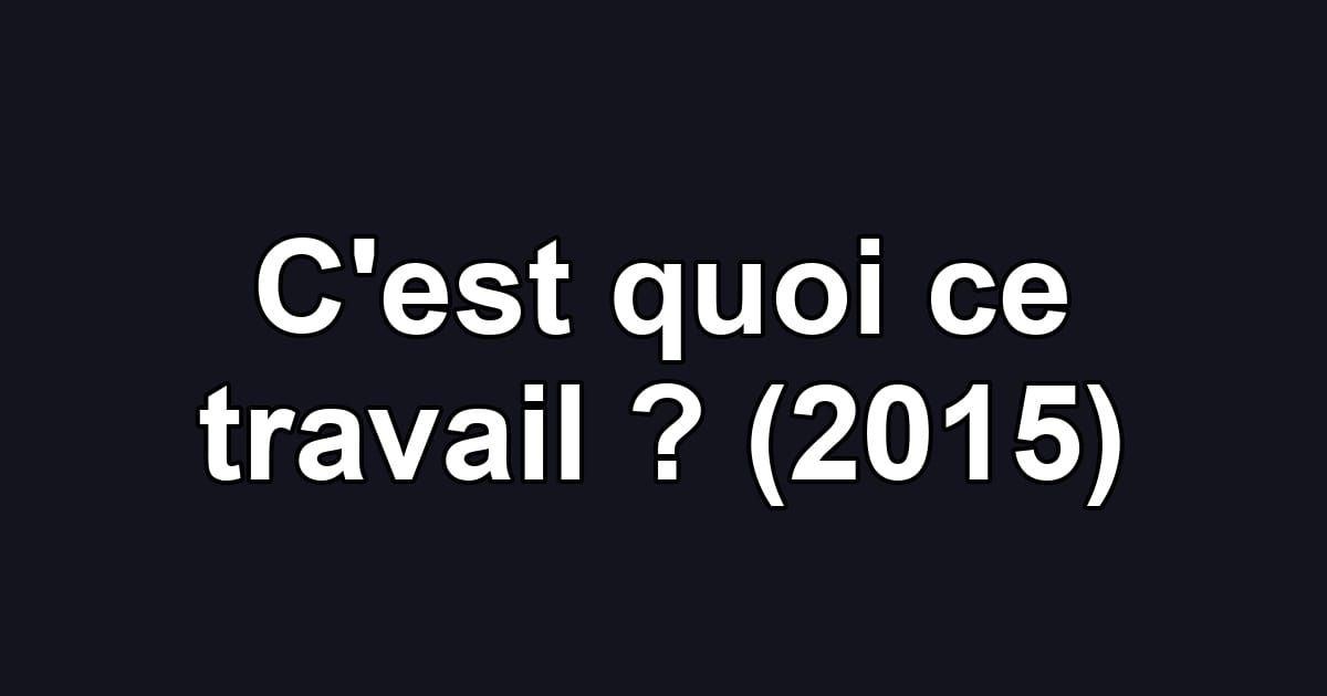 C'est quoi ce travail ? (2015)