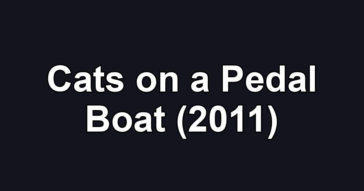 Cats on a Pedal Boat (2011)