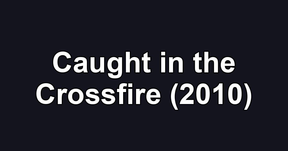 Caught in the Crossfire (2010)