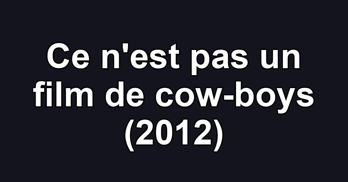 Ce n'est pas un film de cow-boys (2012)