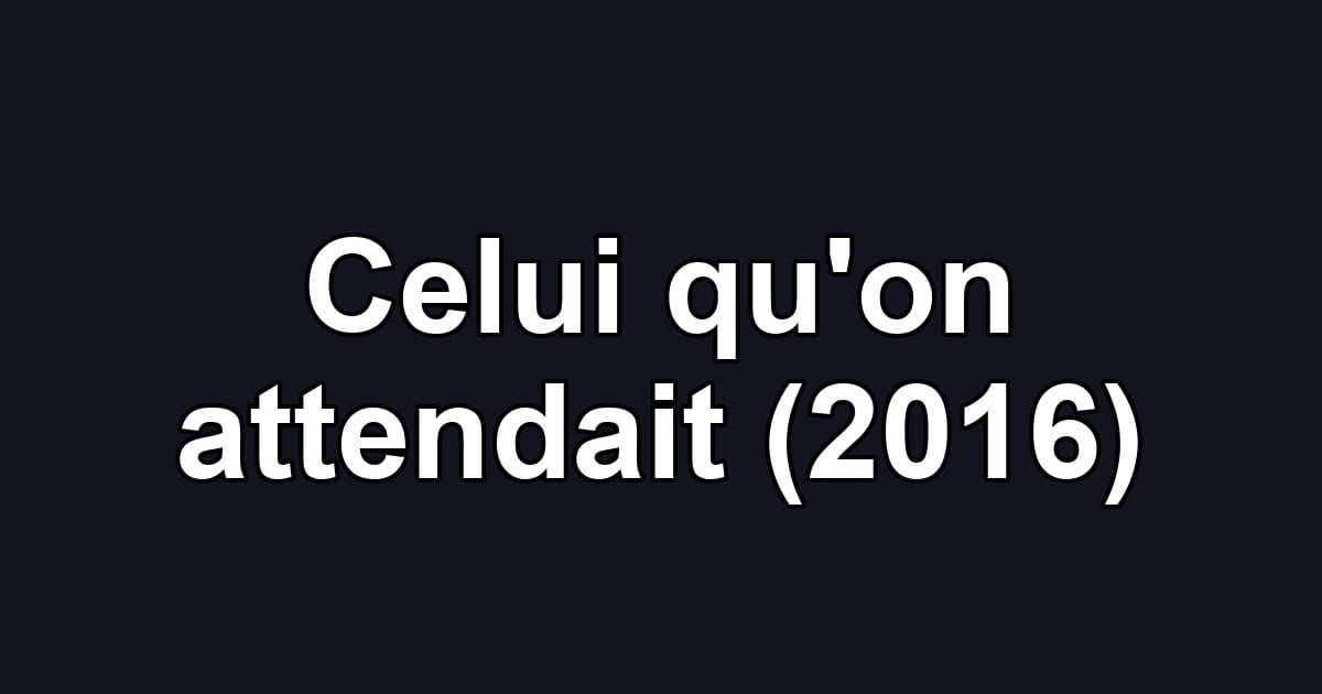 Celui qu'on attendait (2016)