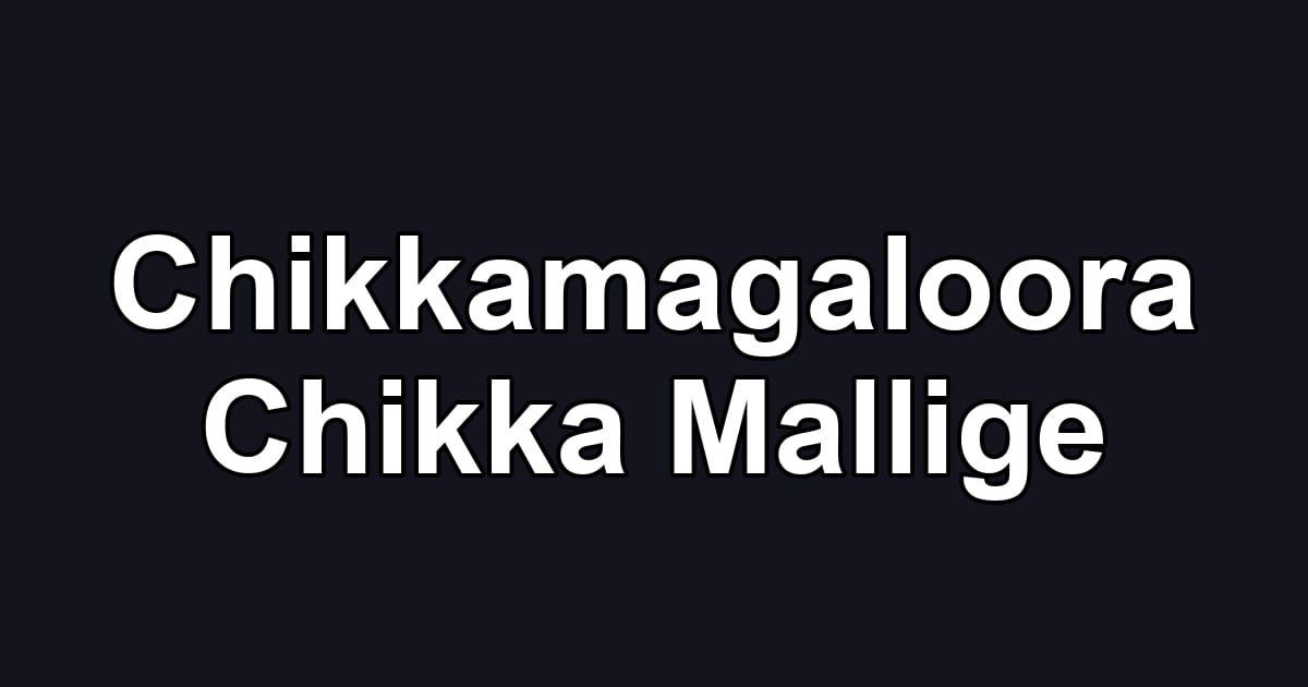 Chikkamagaloora Chikka Mallige