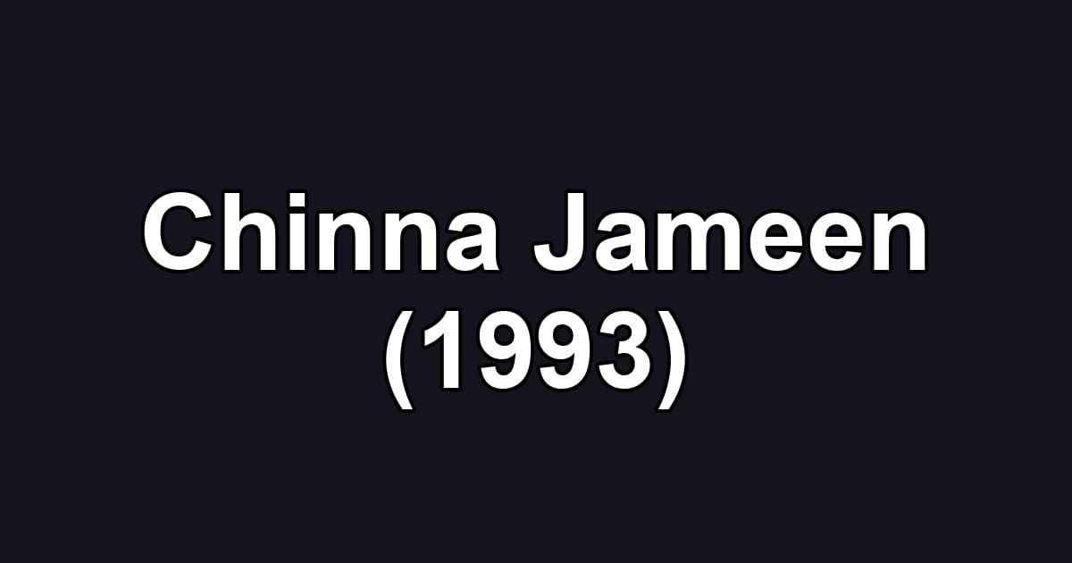 Chinna Jameen (1993)