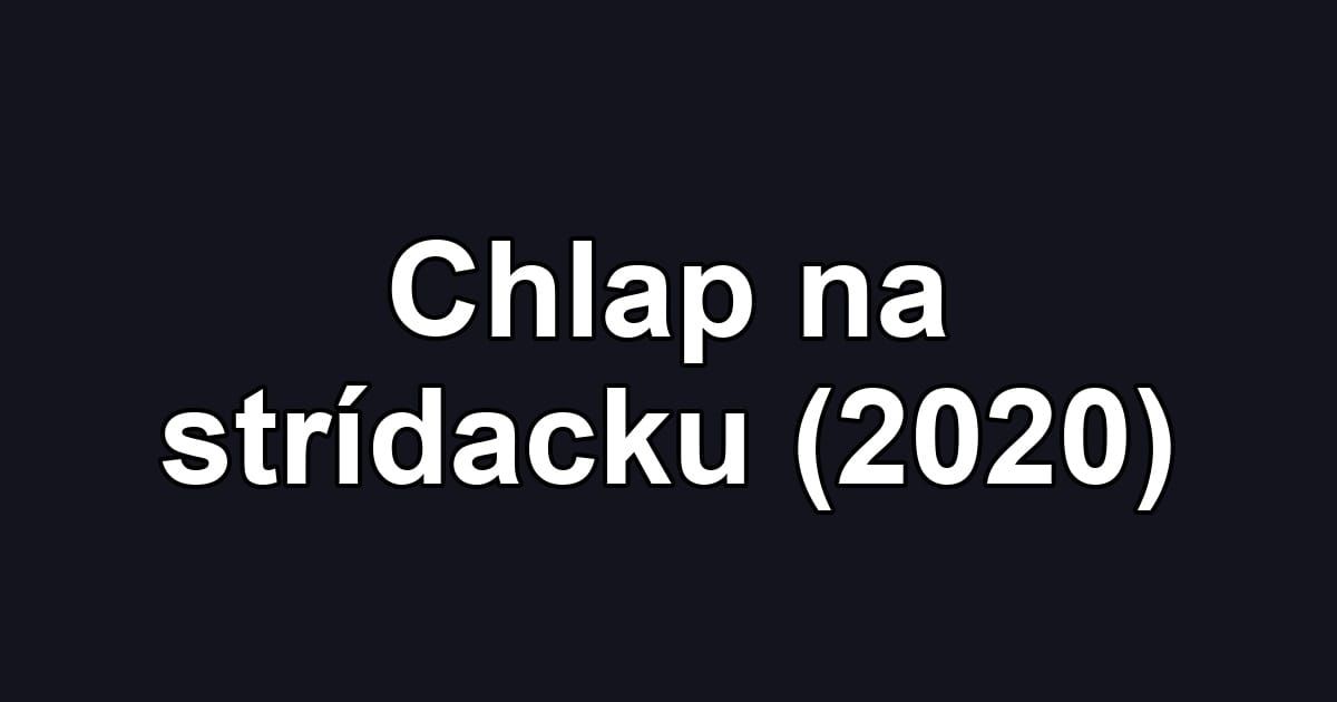 Chlap na strídacku (2020)