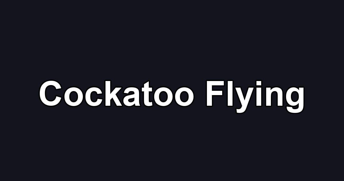 Cockatoo Flying