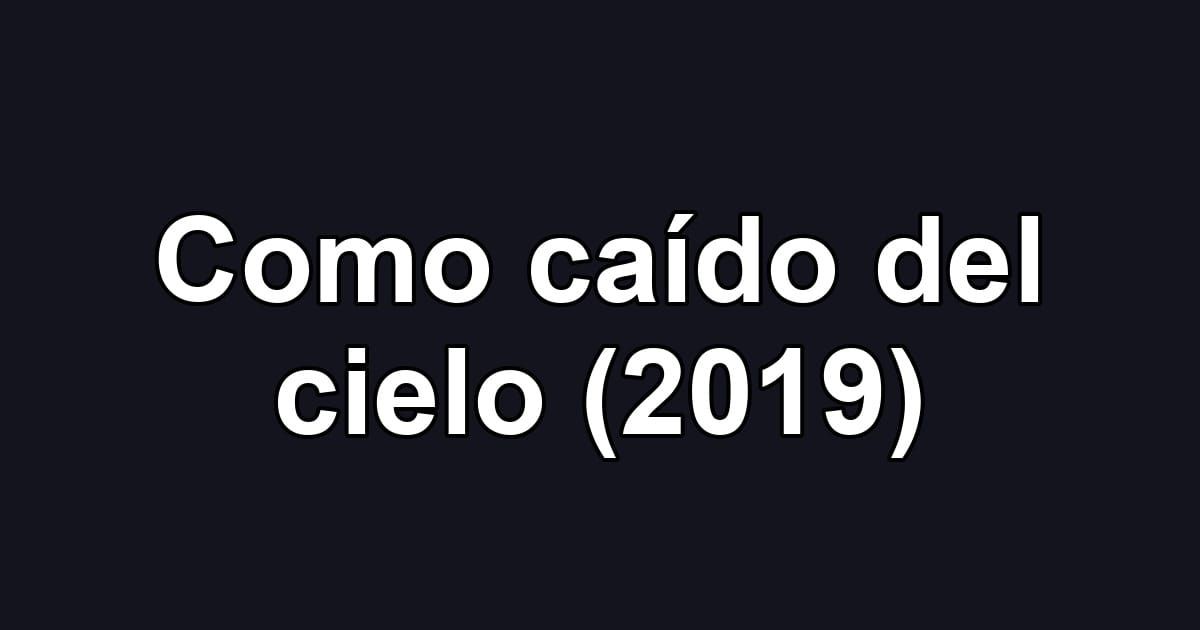 Como caído del cielo (2019)