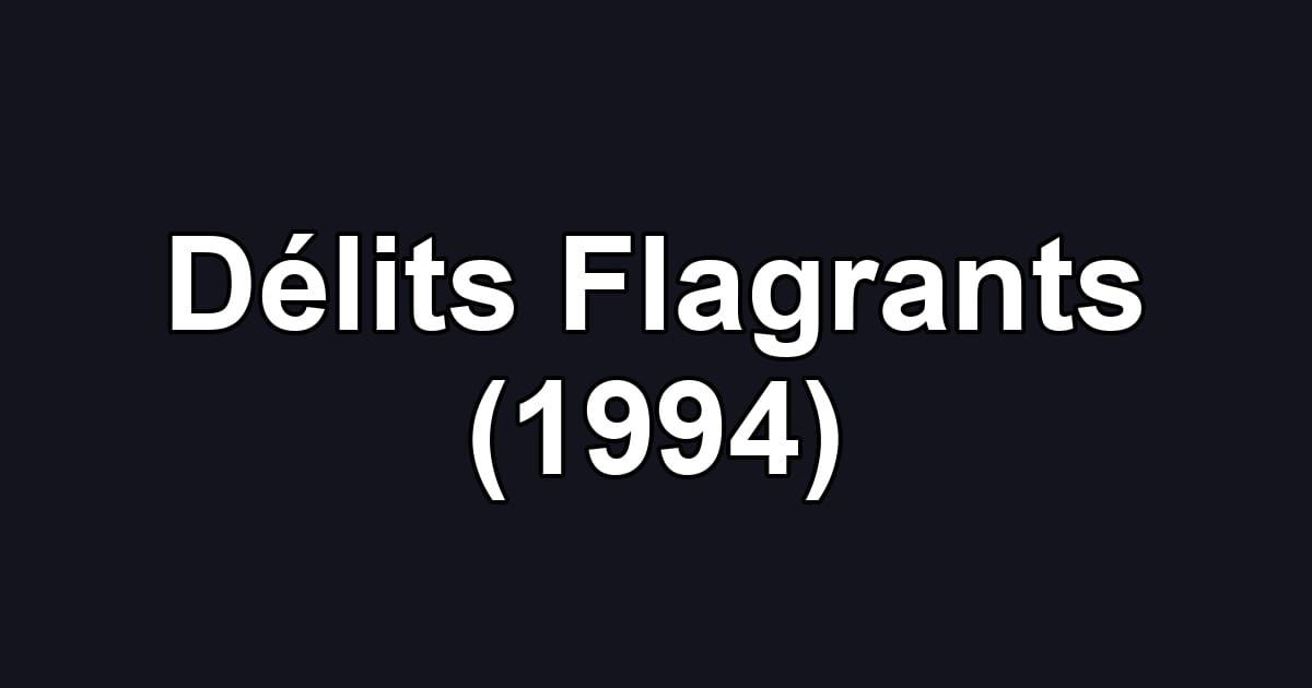 Délits Flagrants (1994)