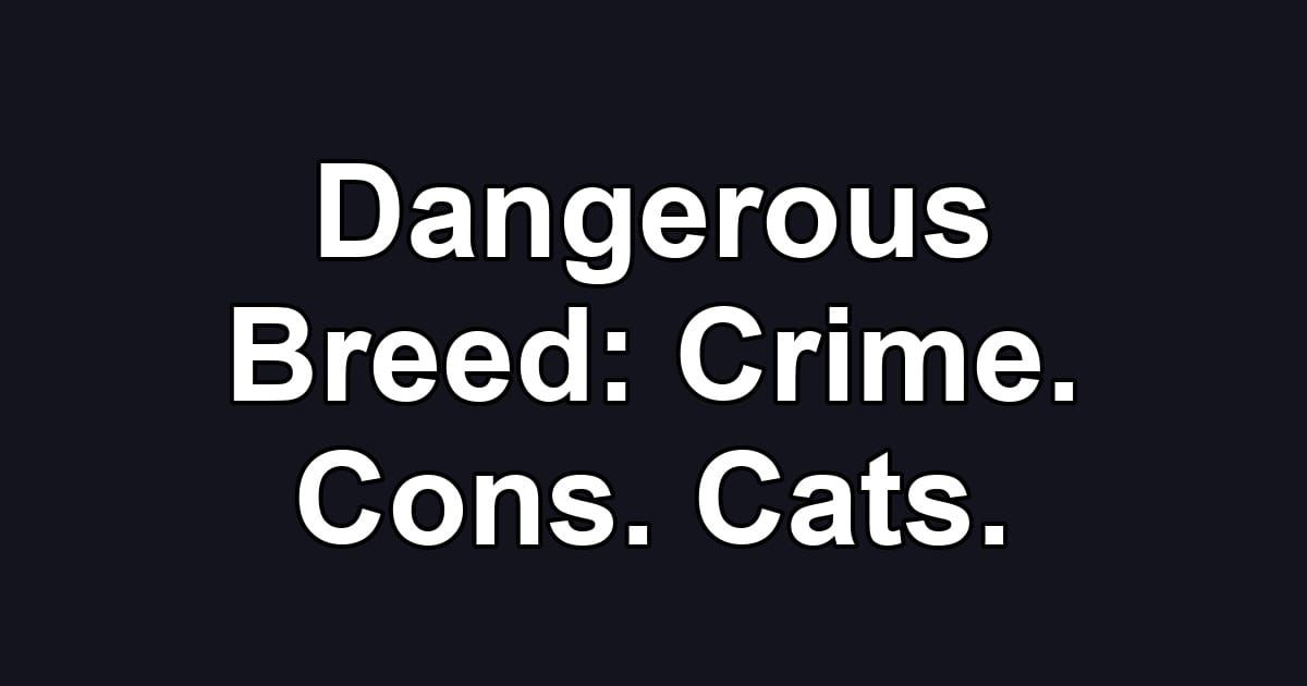Dangerous Breed: Crime. Cons. Cats.
