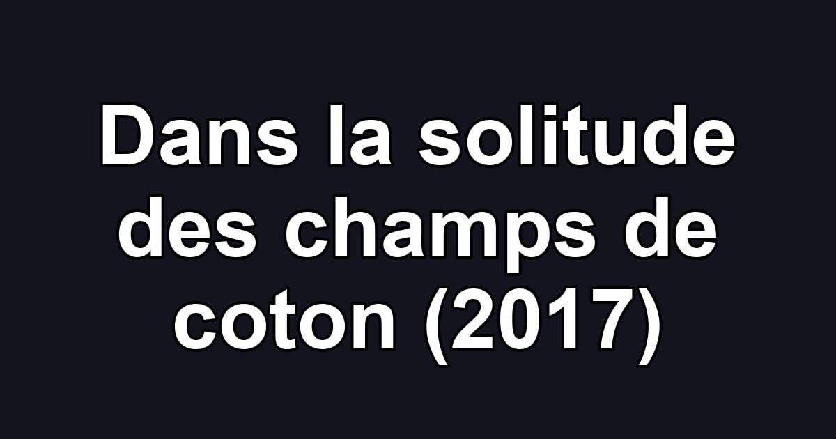 Dans la solitude des champs de coton (2017)