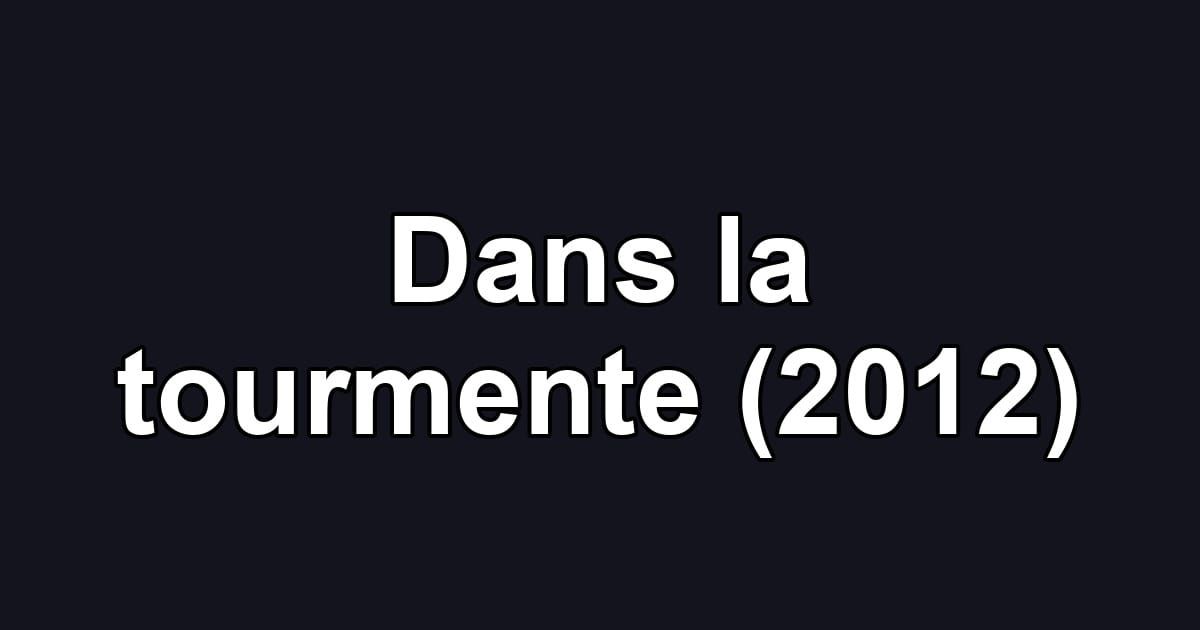 Dans la tourmente (2012)