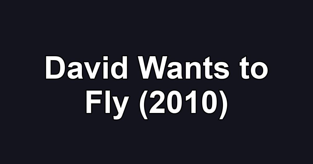 David Wants to Fly (2010)