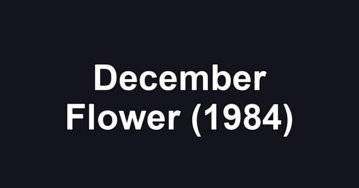 December Flower (1984)