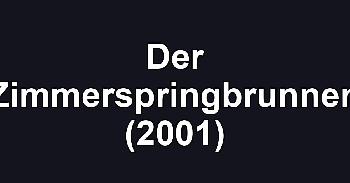 Der Zimmerspringbrunnen (2001)