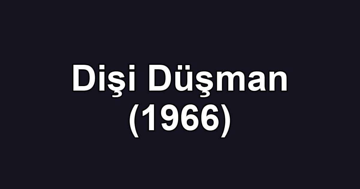 Dişi Düşman (1966)