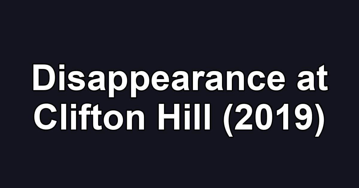 Disappearance at Clifton Hill (2019)