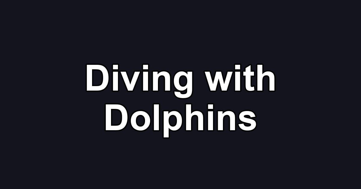 Diving with Dolphins