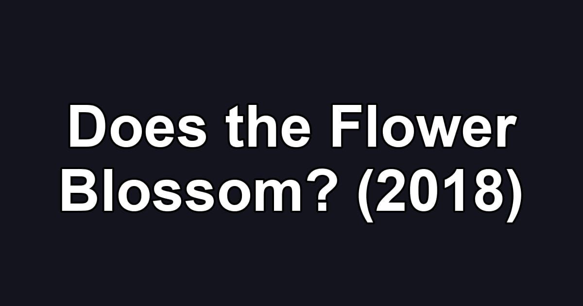 Does the Flower Blossom? (2018)