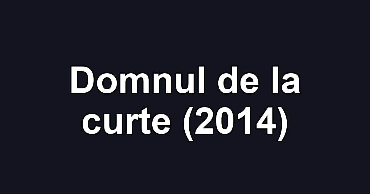 Domnul de la curte (2014)