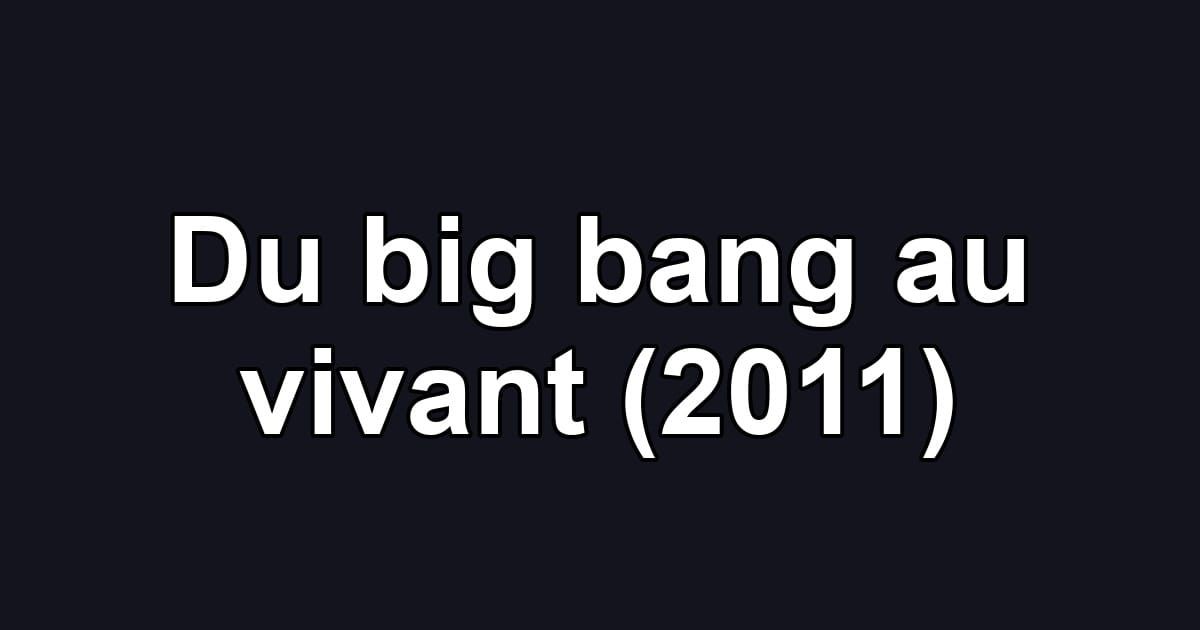 Du big bang au vivant (2011)