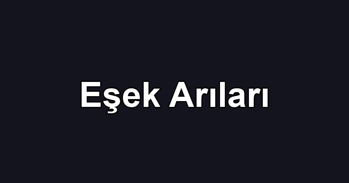 Eşek Arıları