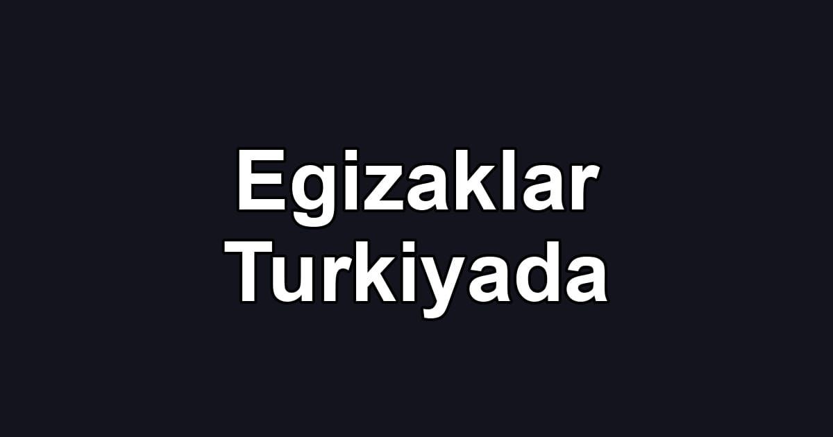 Egizaklar Turkiyada