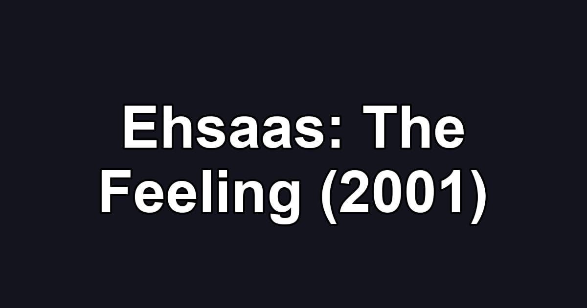 Ehsaas: The Feeling (2001)