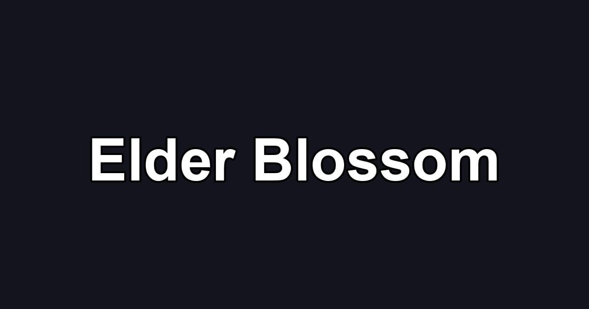 Elder Blossom
