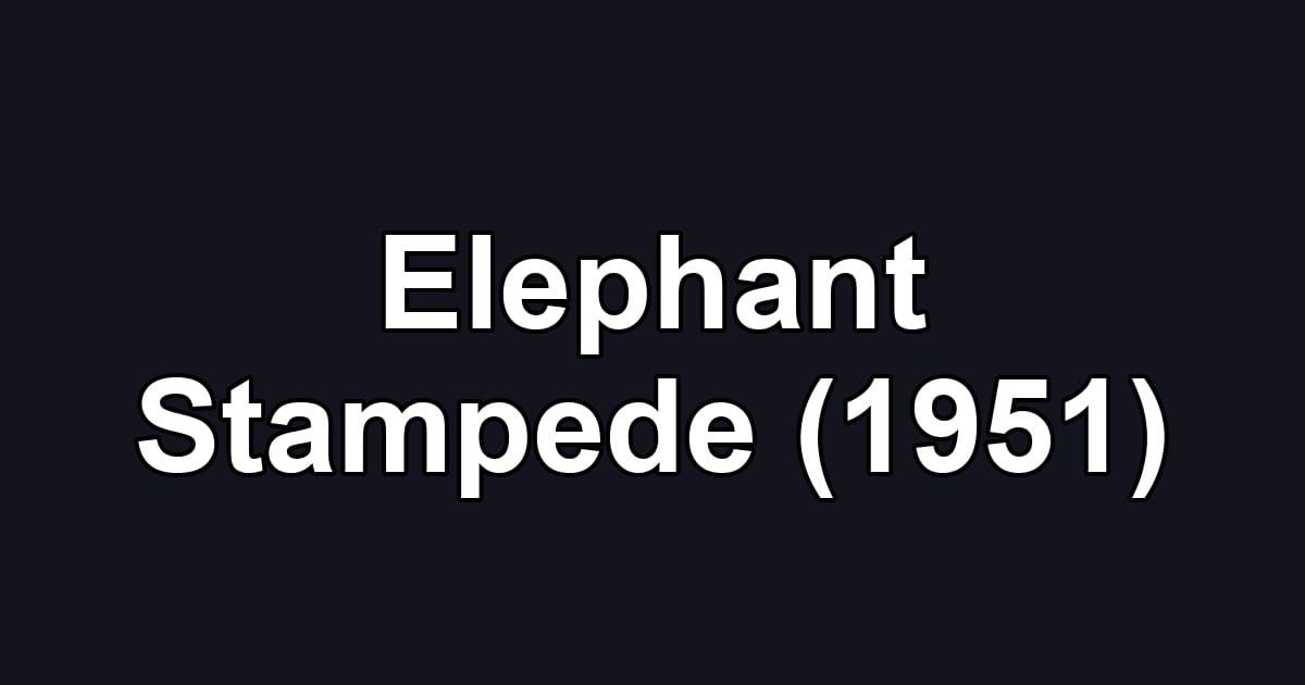 Elephant Stampede (1951)