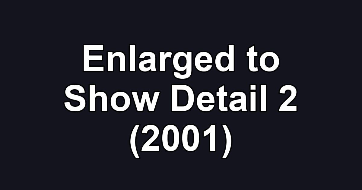 Enlarged to Show Detail 2 (2001)