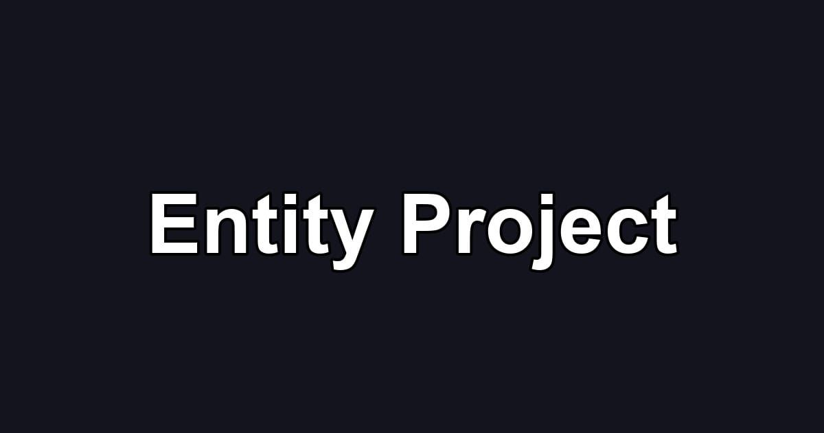 Entity Project