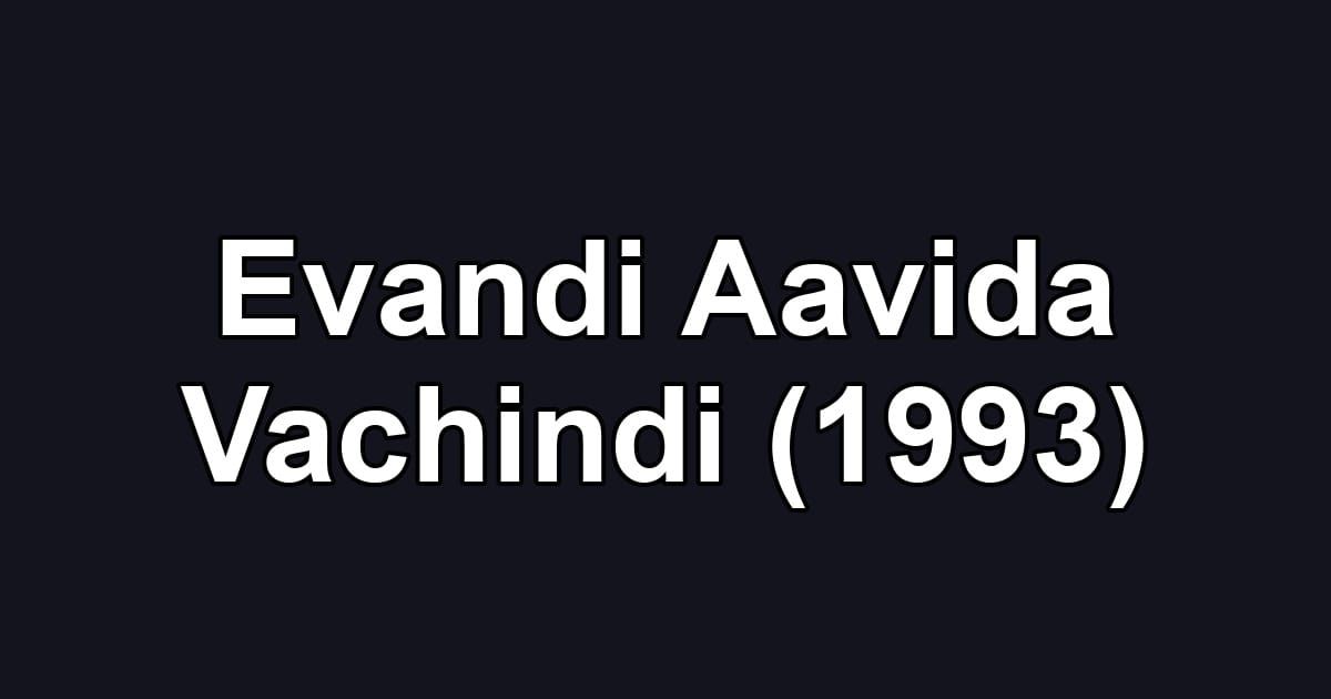 Evandi Aavida Vachindi (1993)