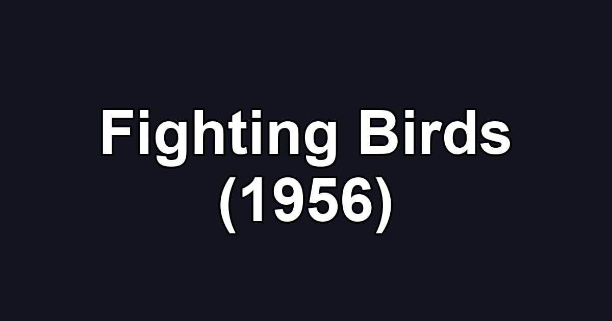 Fighting Birds (1956)