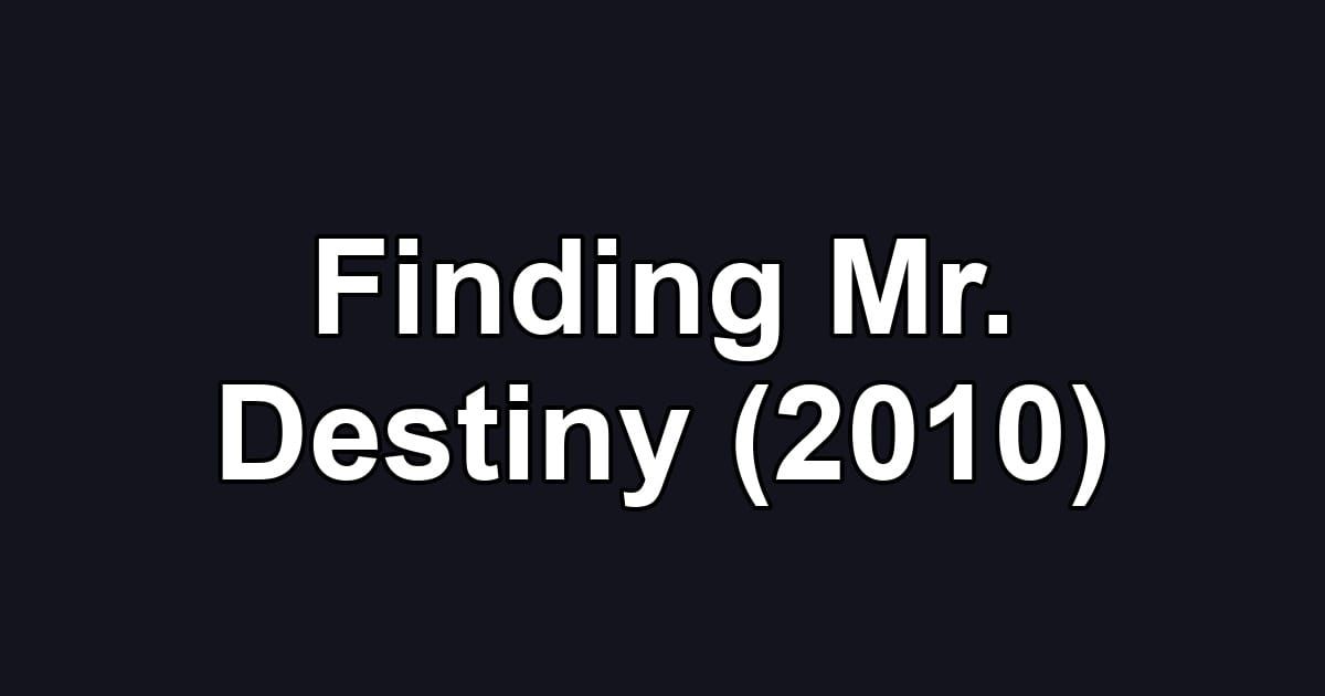 Finding Mr. Destiny (2010)
