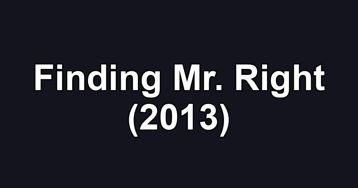 Finding Mr. Right (2013)