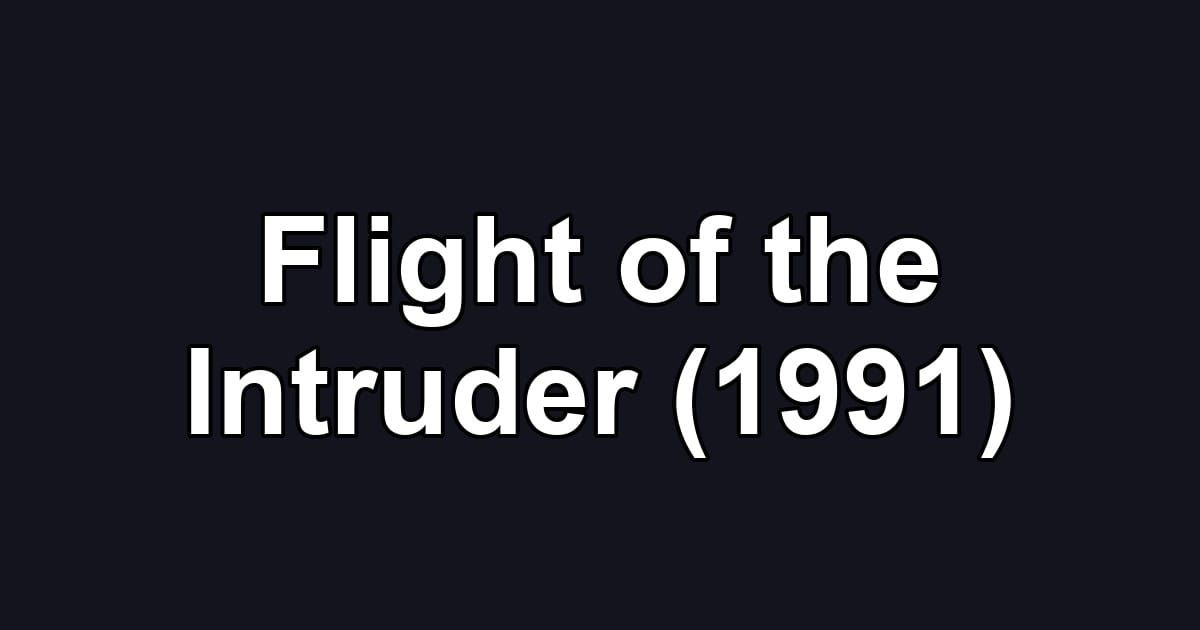 Flight of the Intruder (1991)