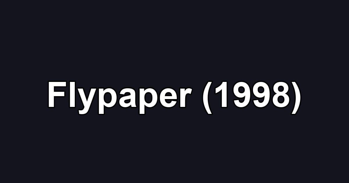 Flypaper (1998)
