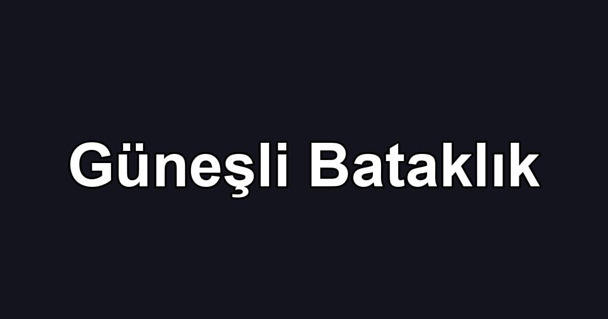 Güneşli Bataklık