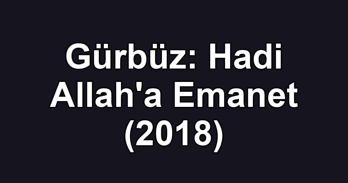 Gürbüz: Hadi Allah'a Emanet (2018)