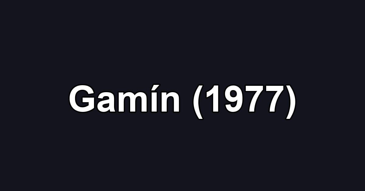 Gamín (1977)